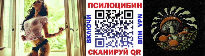 mega ссылки Балей Псилоцибиновые грибы MAGIC MUSHROOMS